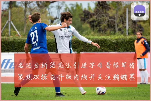 名记分析若无法引进字母哥绿军将聚焦双探花升级内线并关注鹈鹕墨菲